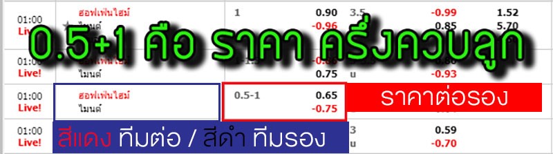 ราคาบอล ครึ่งควบลูก คืออะไร