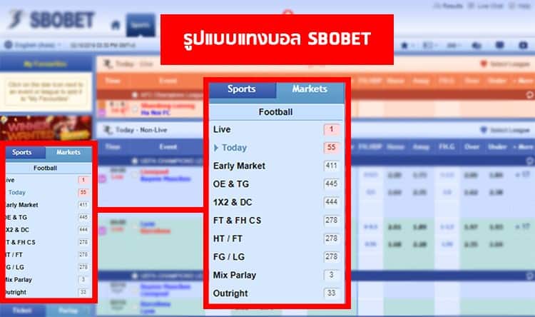 ราคาบอล เว็บแทงบอลไทย